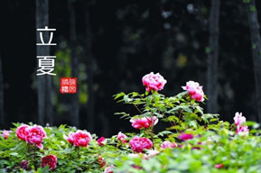 夏天来啦！爱美的你这些食物要少吃！