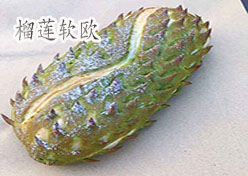 榴莲软欧的做法——新东方烹饪学校